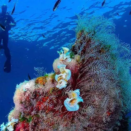 Bonito En Con Piscina Entre Dos Mares لا مانغا ذيل مار مينور