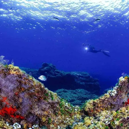 Διαμέρισμα Bonito En Con Piscina Entre Dos Mares Λα Μάνγκα Δελ Μαρ Μενόρ