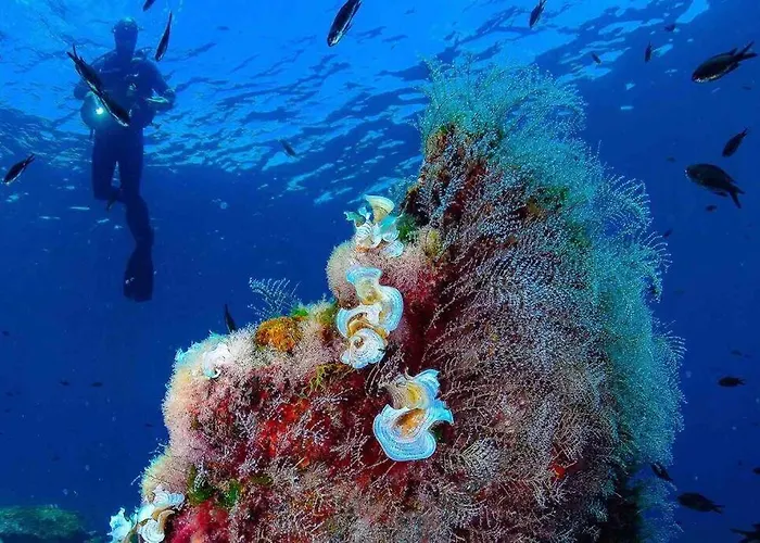 Bonito En Con Piscina Entre Dos Mares لا مانغا ذيل مار مينور