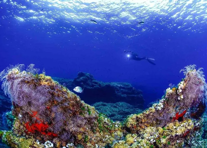 شقة Bonito En Con Piscina Entre Dos Mares لا مانغا ذيل مار مينور